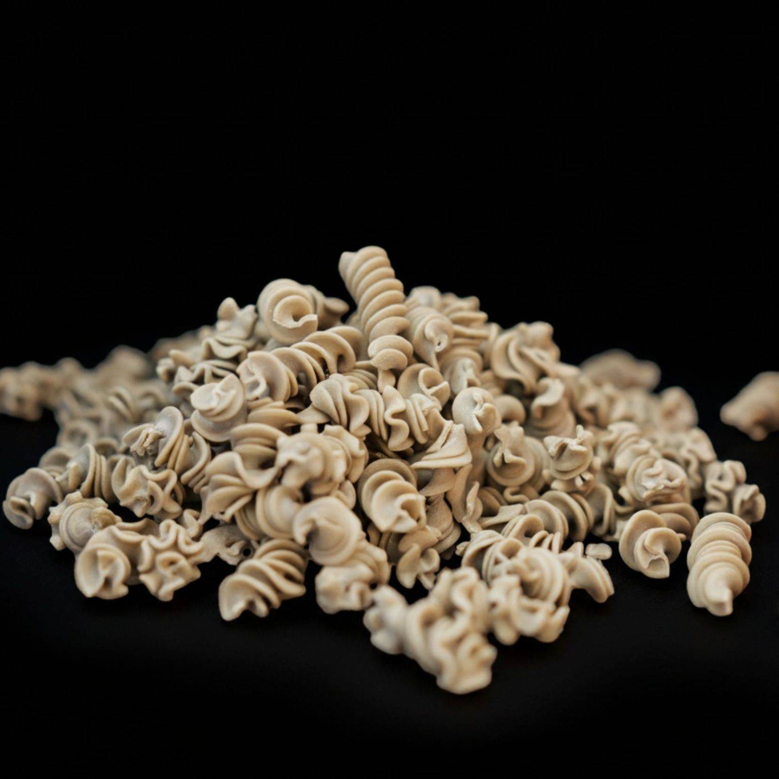 fusilli aux champignons parsemés