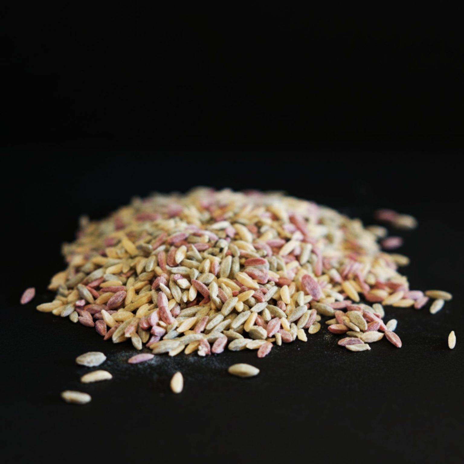 orzo tricolore beige, rouge et vert